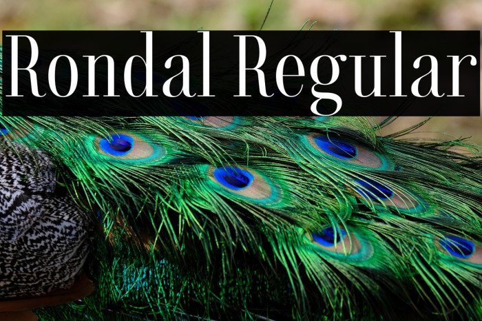 Rondal Regular Example 1