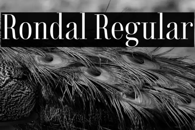 Rondal Regular Font examples
