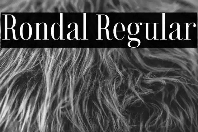 Rondal Regular Font examples