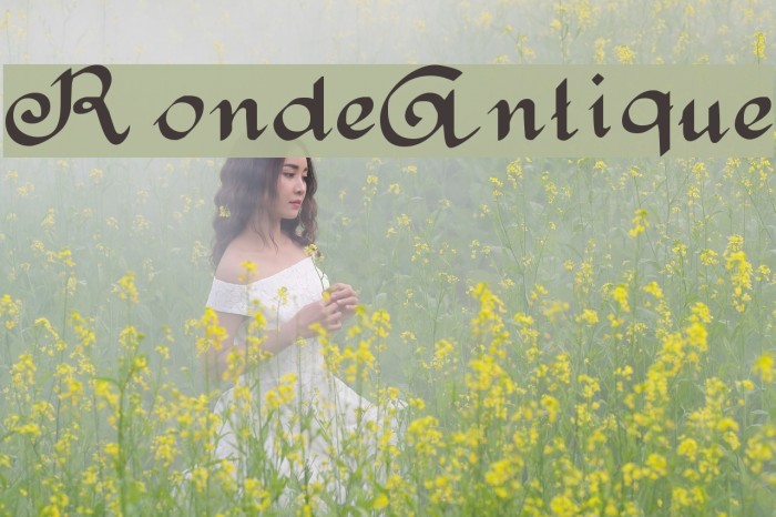 RondeAntique Font examples