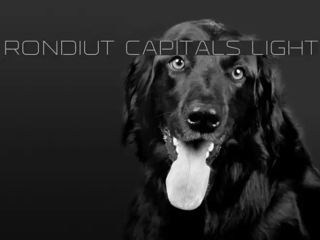 Rondiut Capitals Light Caratteri examples