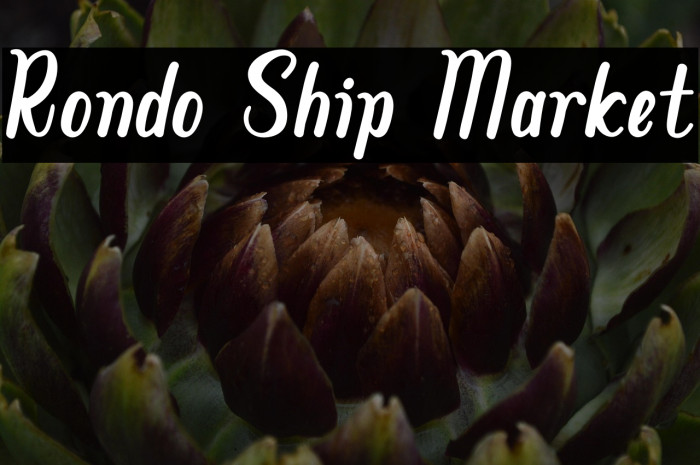 Rondo Ship Market Example 3