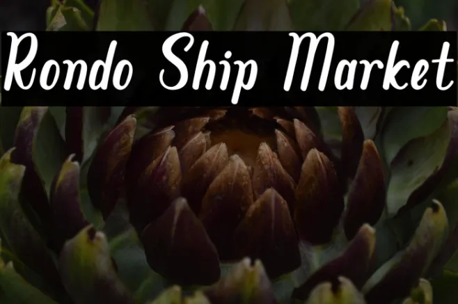 Rondo Ship Market Example 3