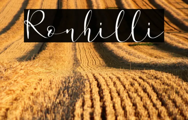 Ronhilli Example 3