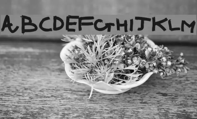 Ronnie Font examples