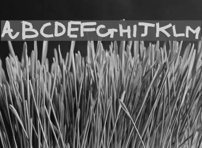 Ronnie Font examples