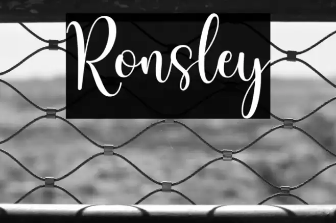 Ronsley خط examples