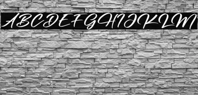 Ronsttom Dollast Fonte examples