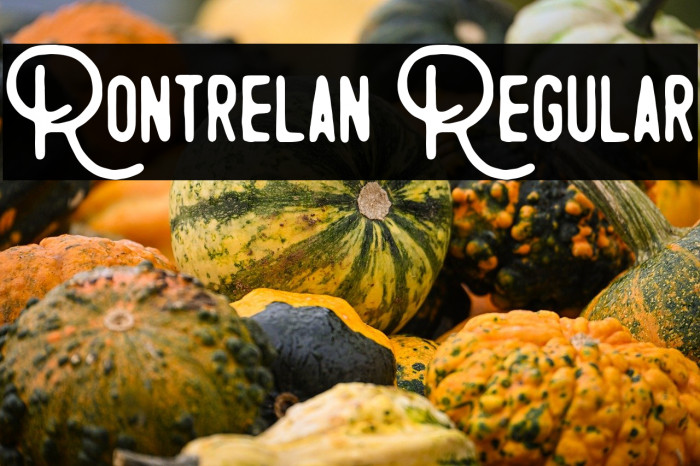 Rontrelan Regular Example 1