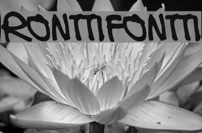 Ronttifontti Font examples