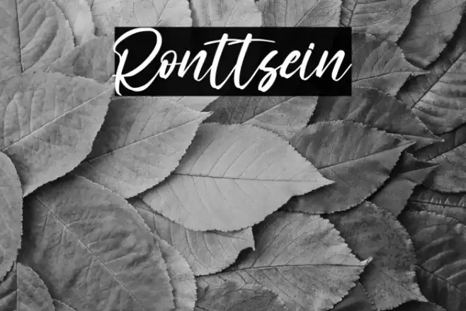 Ronttsein Font examples