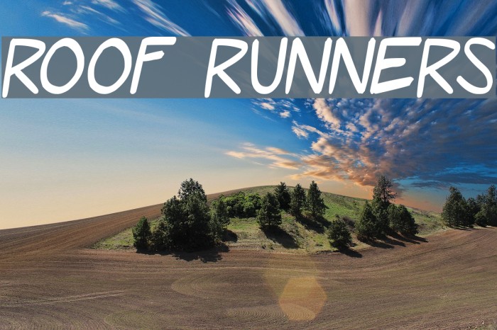 Roof Runners Font examples