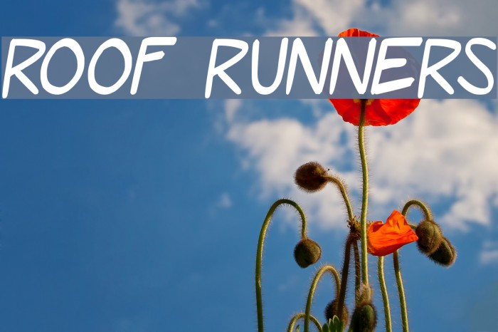 Roof Runners Font examples