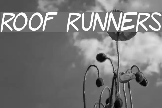 Roof Runners Font examples