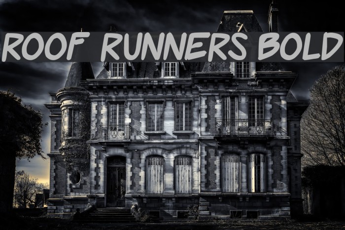 Roof runners Bold Font examples