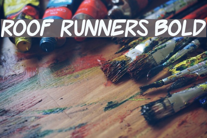 Roof runners Bold Font examples