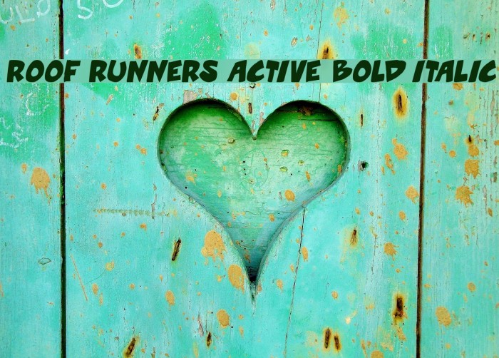 Roof runners active Bold Italic Example 1