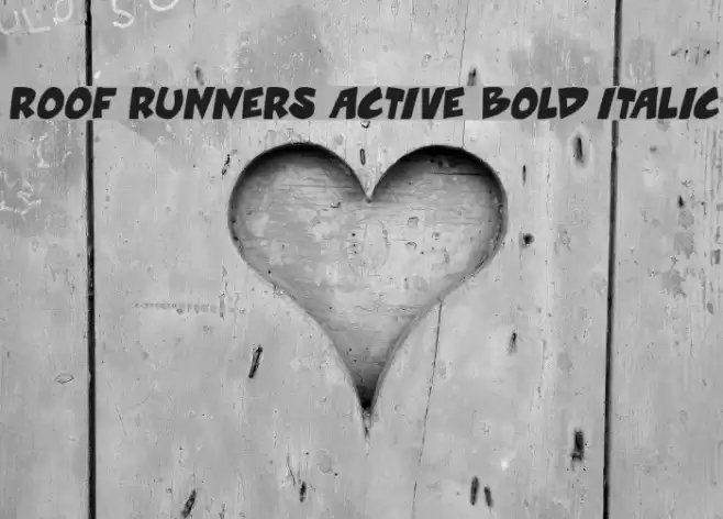Roof runners active Bold Italic Font examples