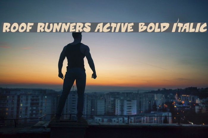 Roof runners active Bold Italic Example 2