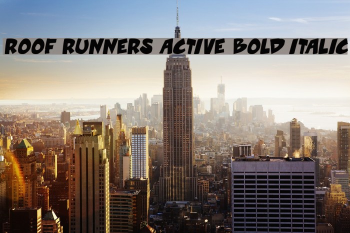 Roof runners active Bold Italic Example 3