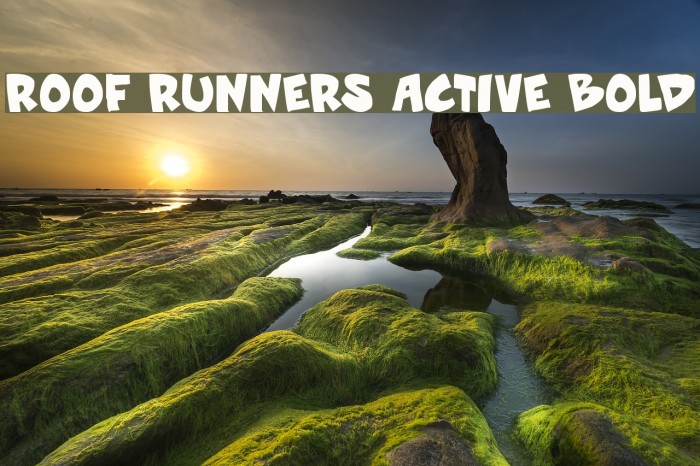Roof runners active Bold Font examples