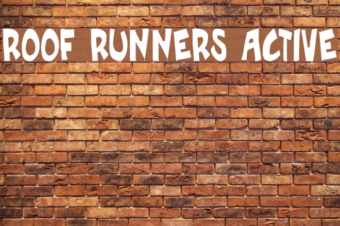 Roof runners active Example 1