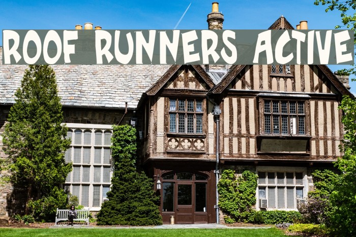 Roof runners active Example 3