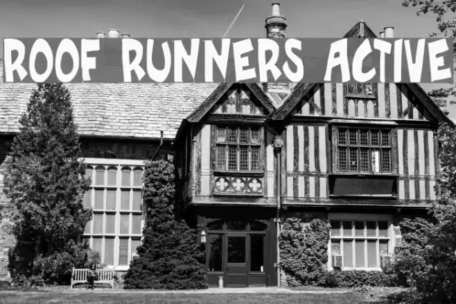 Roof runners active Font examples