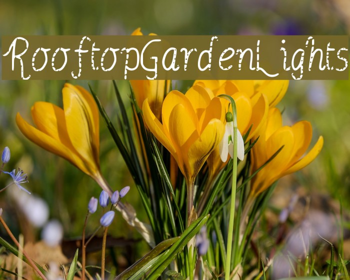 Rooftop_Garden_Lights フォント examples