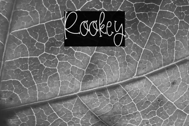 Rookey Font examples