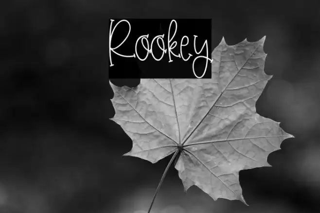 Rookey Font examples