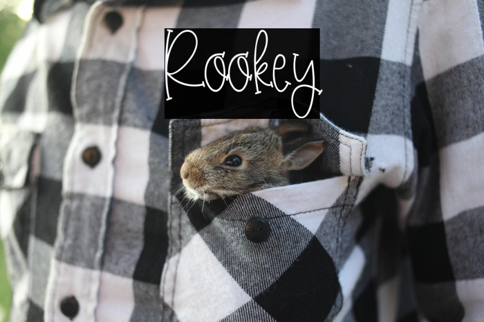 Rookey Example 3