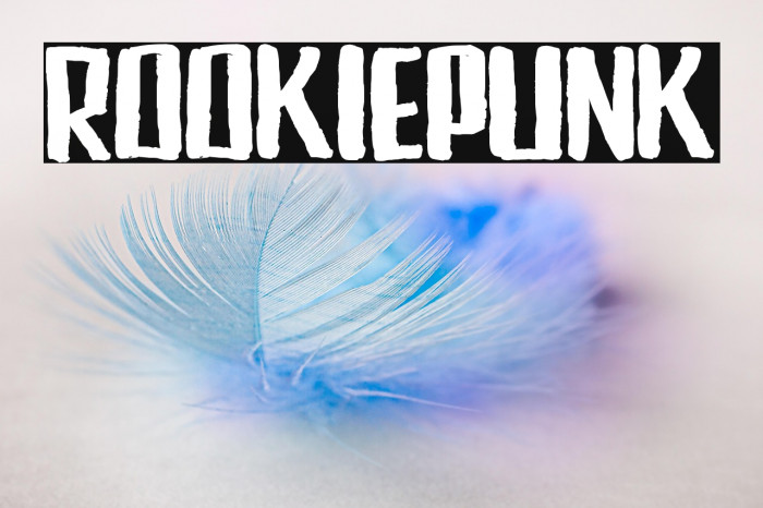 RookiePunk Example 1