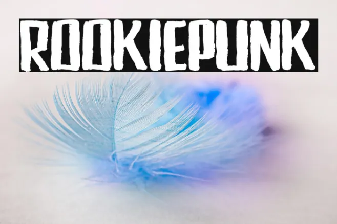RookiePunk Example 1