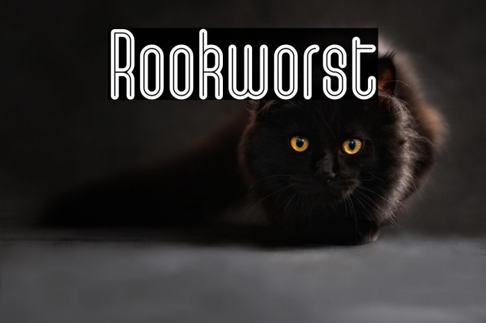 Rookworst Example 3