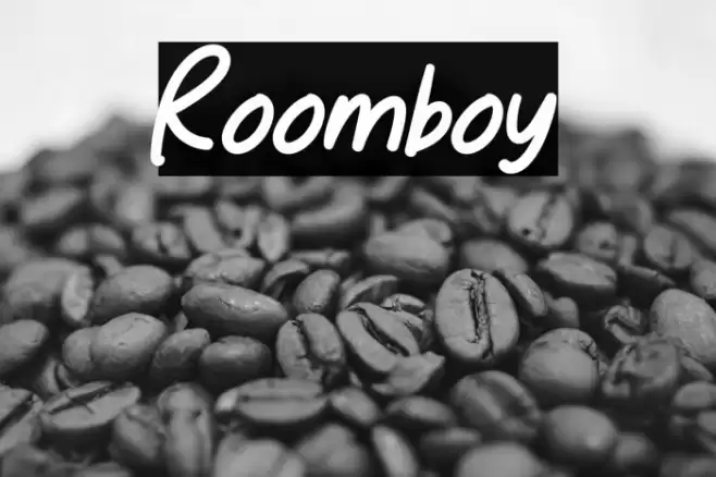 Roomboy Caratteri examples