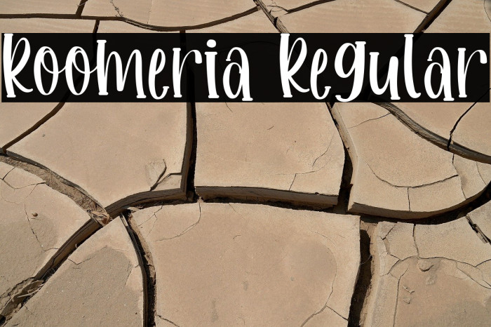 Roomeria Regular Example 1