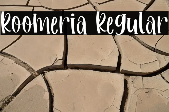 Roomeria Regular Example 1