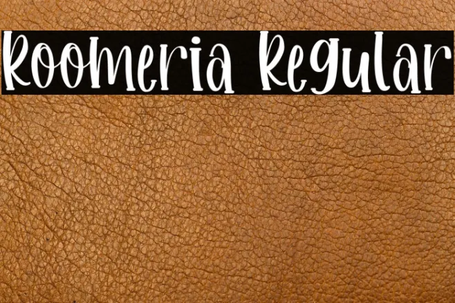 Roomeria Regular Example 2