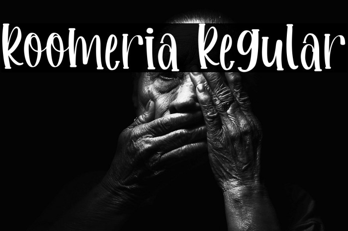 Roomeria Regular Example 3