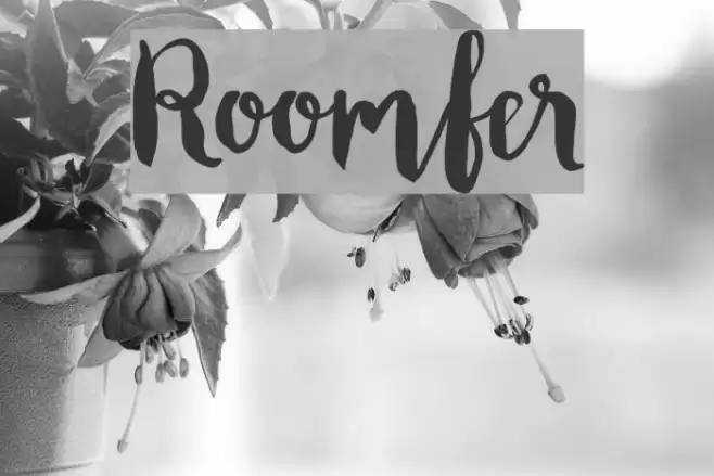 Roomfer Font examples