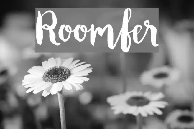 Roomfer Font examples