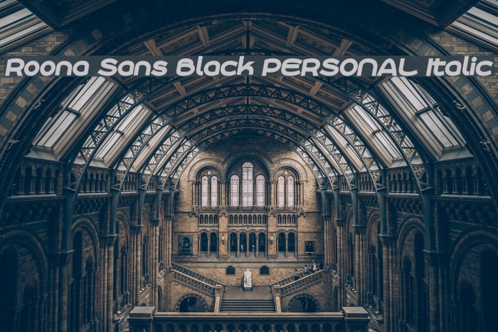 Roona Sans Black PERSONAL Italic Example 1