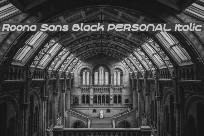 Roona Sans Black PERSONAL Italic Font examples