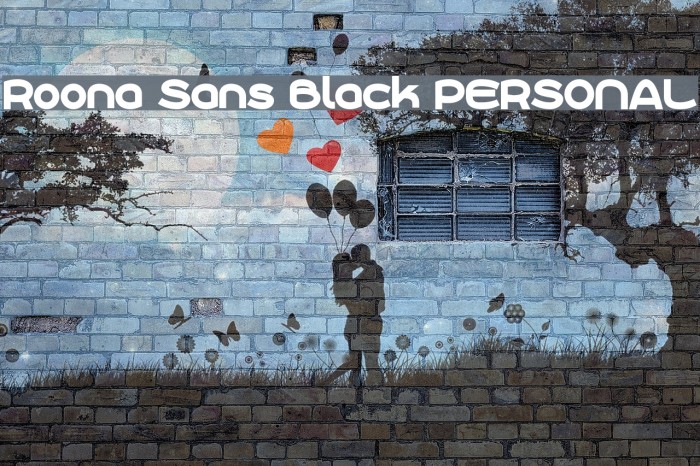 Roona Sans Black PERSONAL Example 1