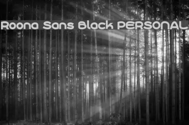 Roona Sans Black PERSONAL Font examples