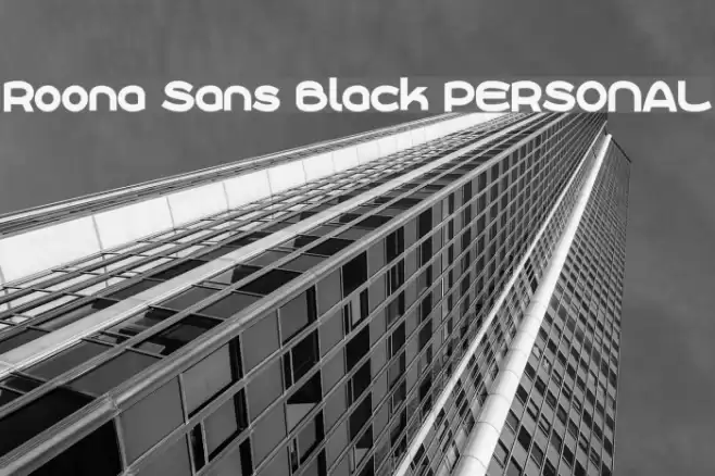 Roona Sans Black PERSONAL Font examples