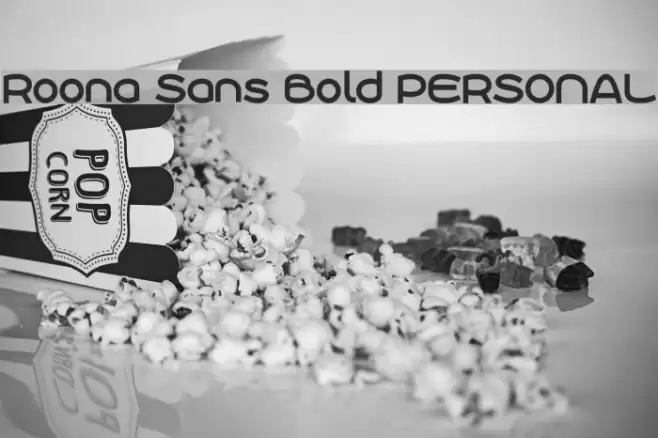 Roona Sans Bold PERSONAL Font examples