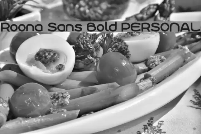 Roona Sans Bold PERSONAL Font examples