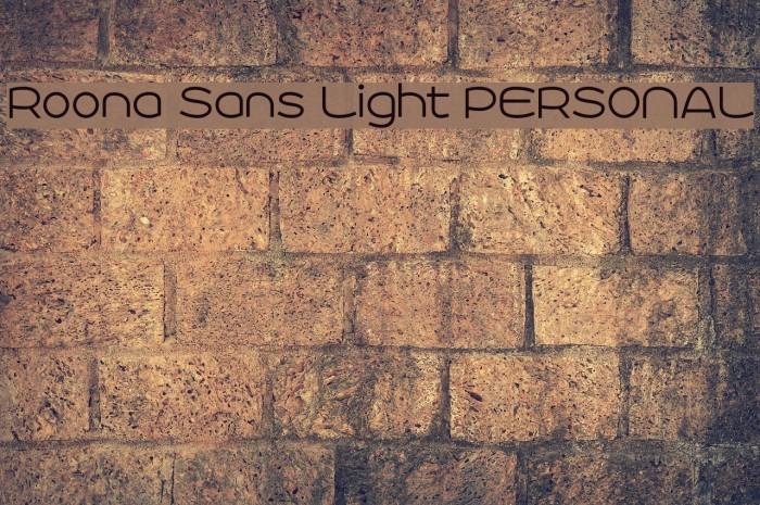 Roona Sans Light PERSONAL Font examples
